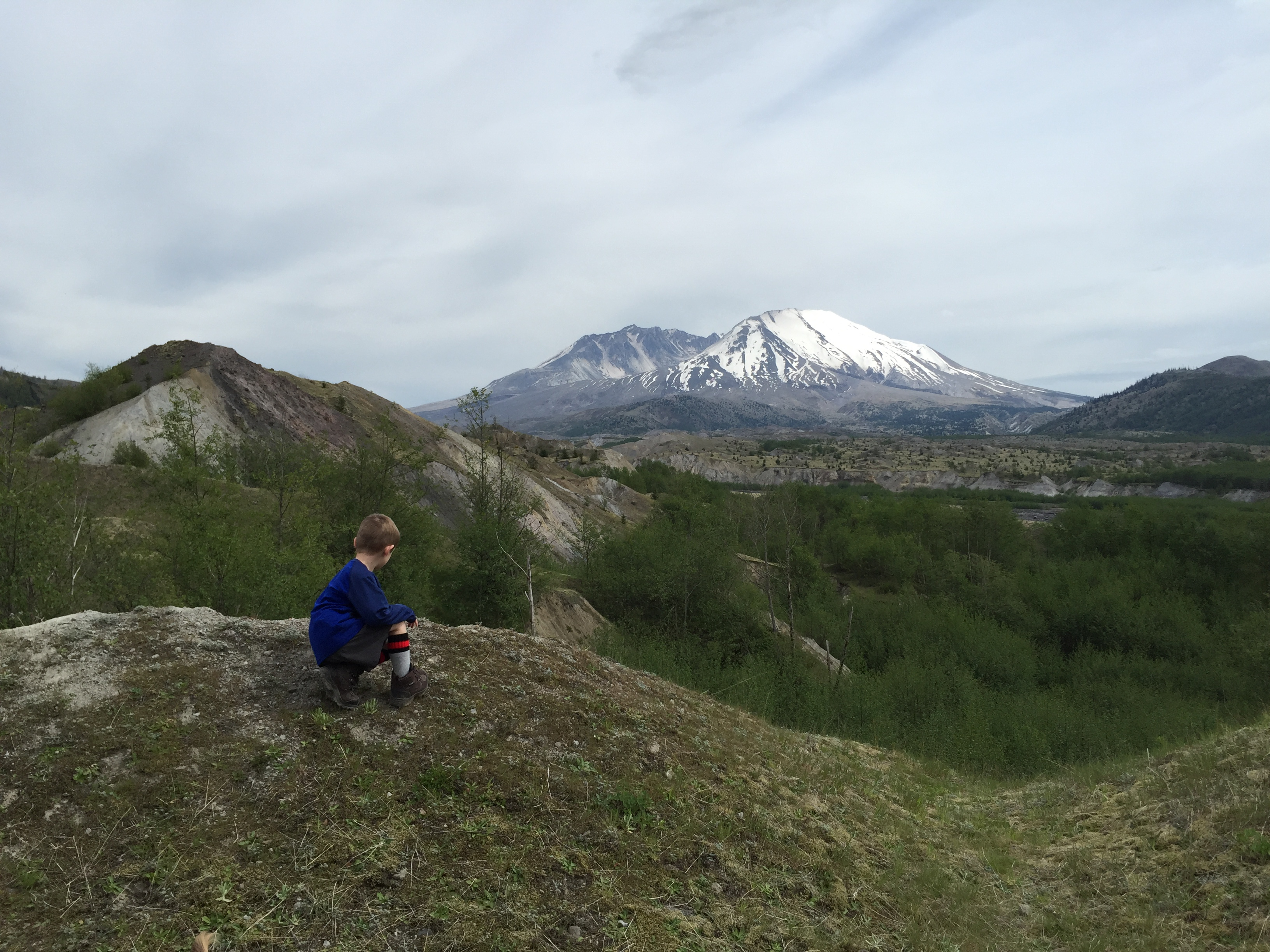 A great view of Mt. St. Helens from Hummocks Trail.