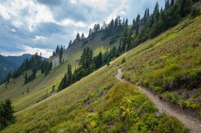 Pacific Crest Trail In Alpine Meadow Gifford Pinchot National Forest Washington 3