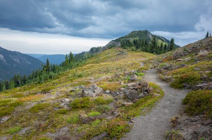 Pacific Crest Trail In Alpine Meadow Gifford Pinchot National Forest Washington